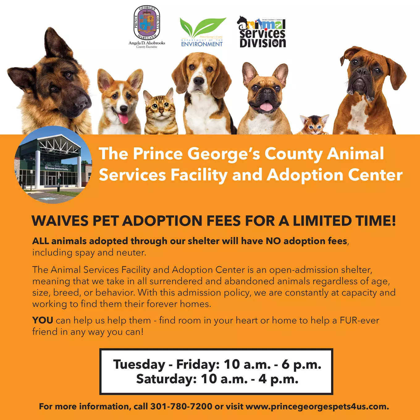 Waive Pet Adoption Fees