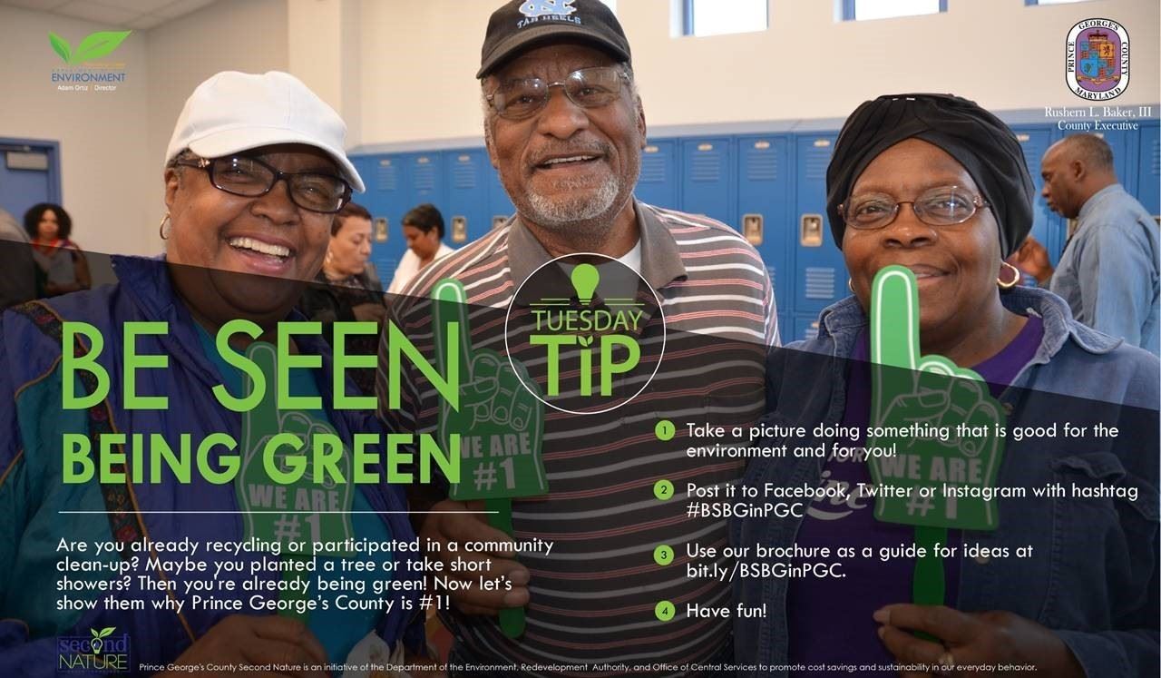 Be Seen Being Green Tuesday Tip 62618