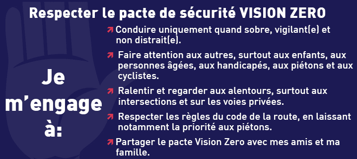 French VZ Pledge
