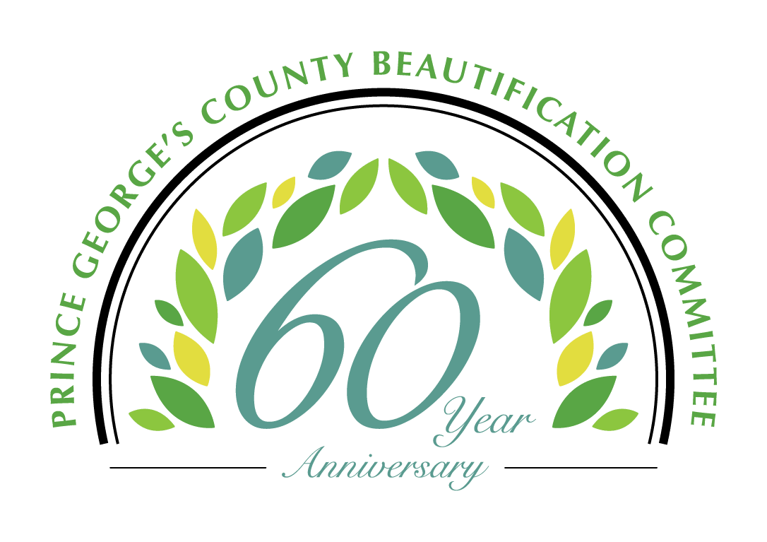 60th-Anniversary-logo