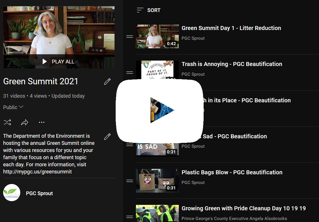 GS 2021 YouTube playlist Opens in new window