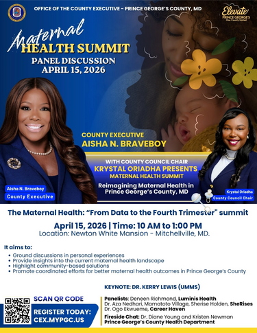 Maternal Health Summit Flyer