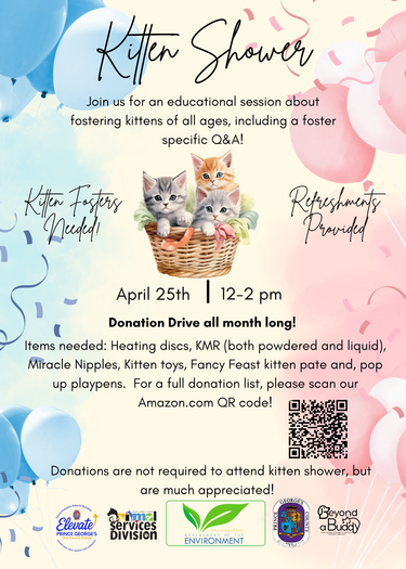 Kitten Season Flyer 2026