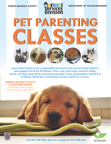 ASD Pet parenting24