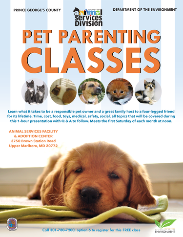 ASD pet parenting 2024 v2