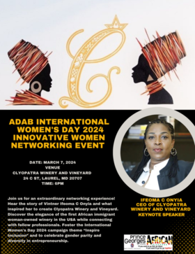 Innovative Women Networking Event