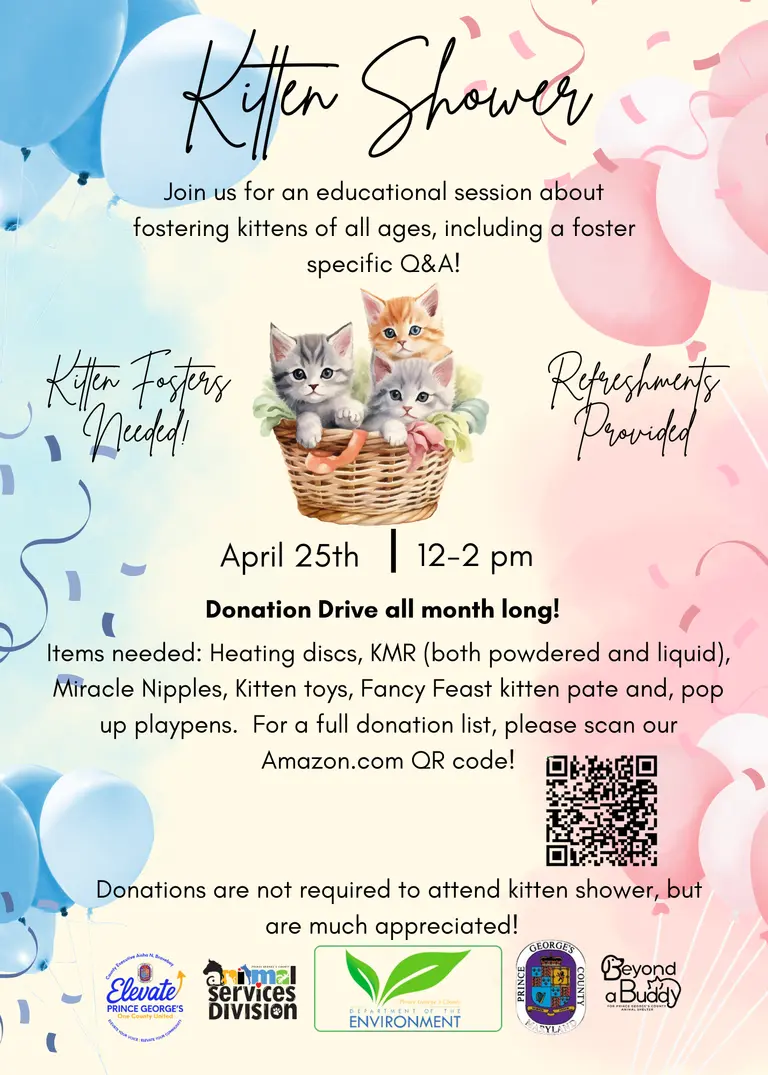 Kitten Season Flyer 2026