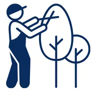 Tree Trimming