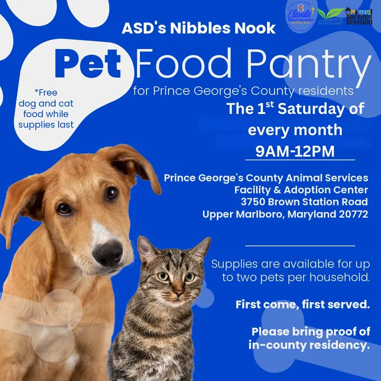 ASD Nibbles nook flyer
