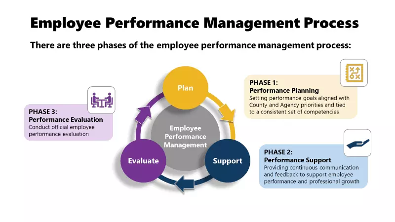 Employee Performance Management Process Chart
