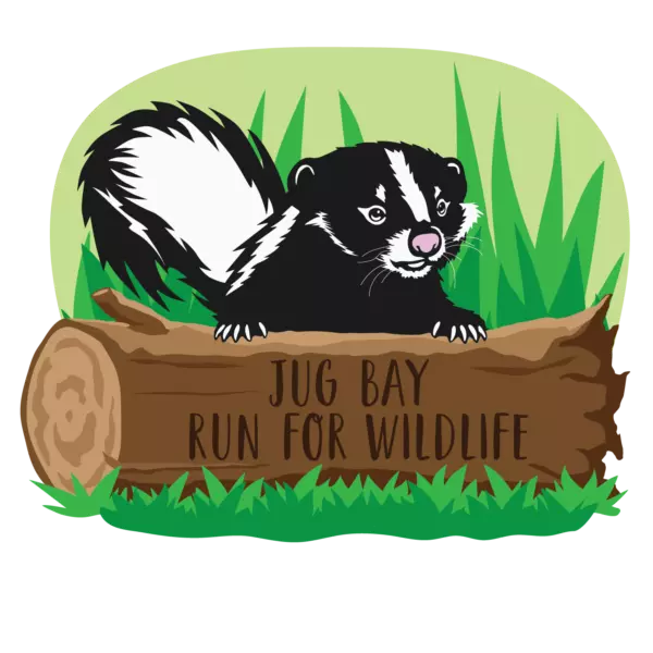Jug Bay Run for Wildlife Skunk Illustration