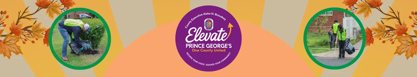 CEX Letter bottom banner