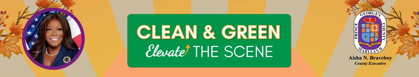 CEX Letter top banner