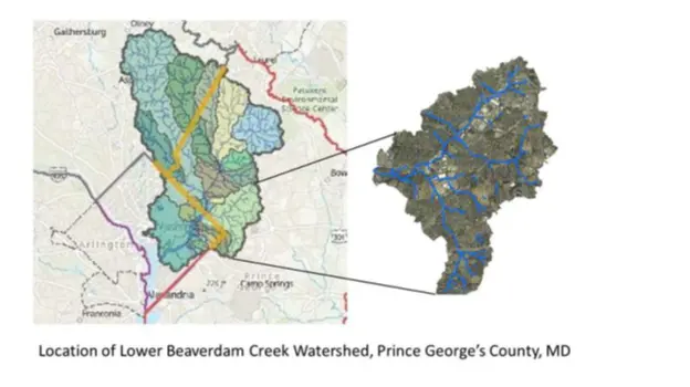 Lower Beaverdam Creek Photo