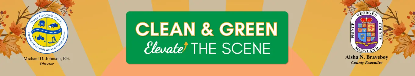 Clean & Green Elevate the Scene banner