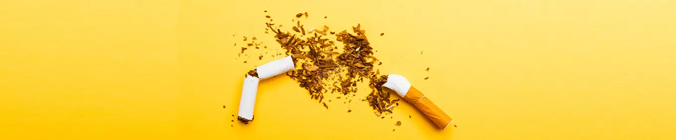 A photo of a destroyed cigarette on a yellow background.
