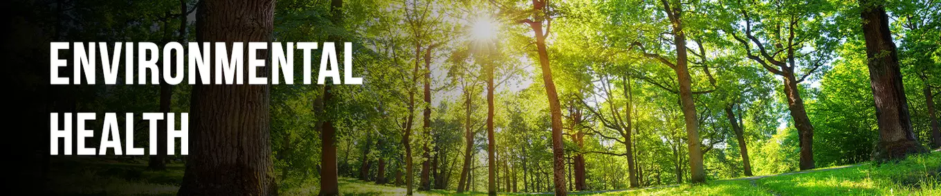 A photo of a forest with the sun shining through the trees with the title of "Environmental Health" to the left of the banner