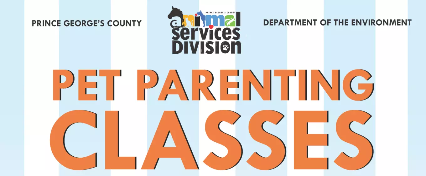 ASD Pet parenting24 banner