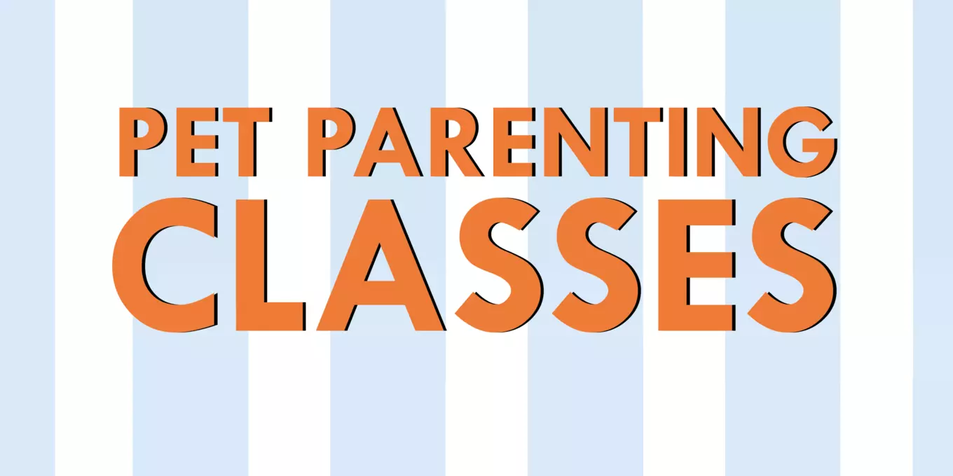 ASD pet parent banner v2