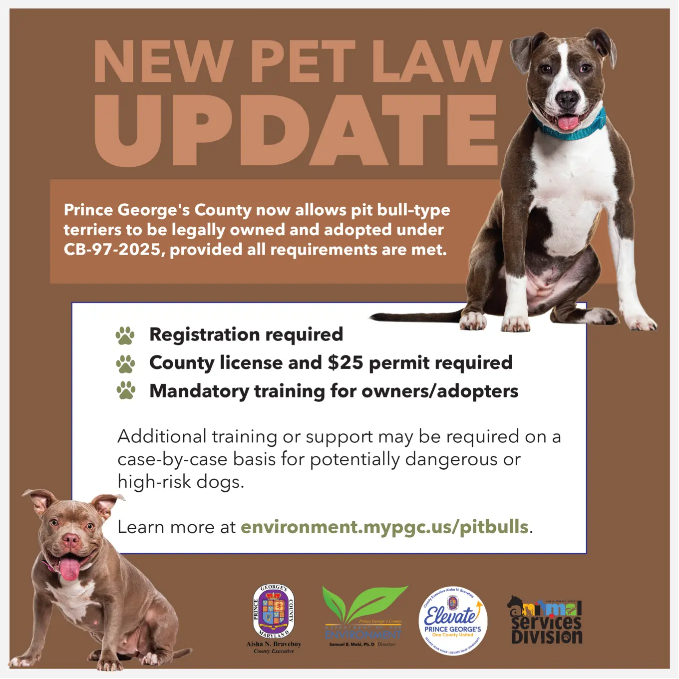 Pit Bull Announcement english