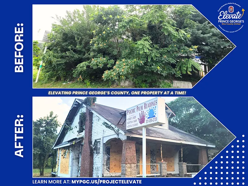 Before and After of Strike Force 311 clean up of abandoned lot