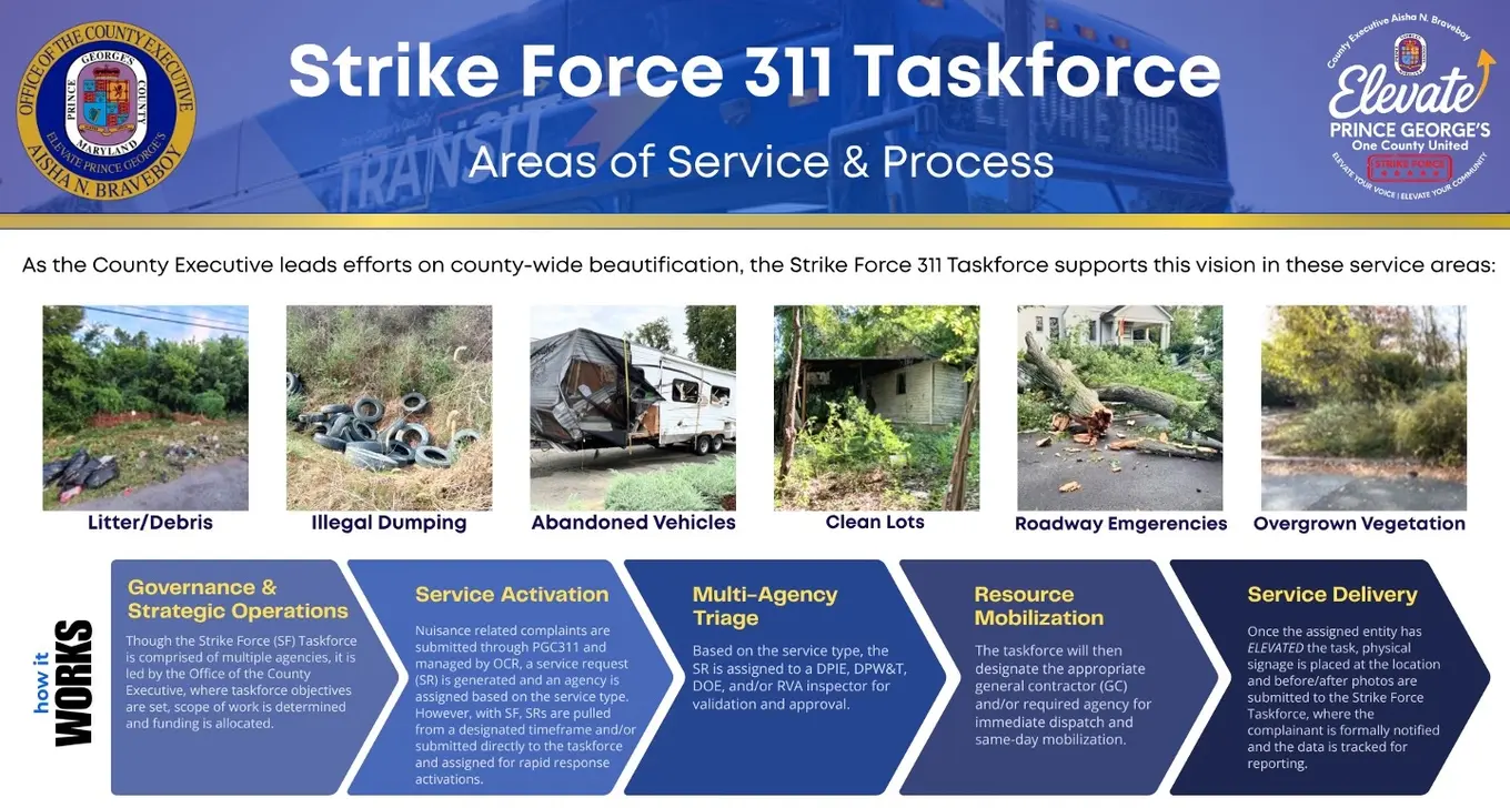Strike Force 311 Scope of Work
