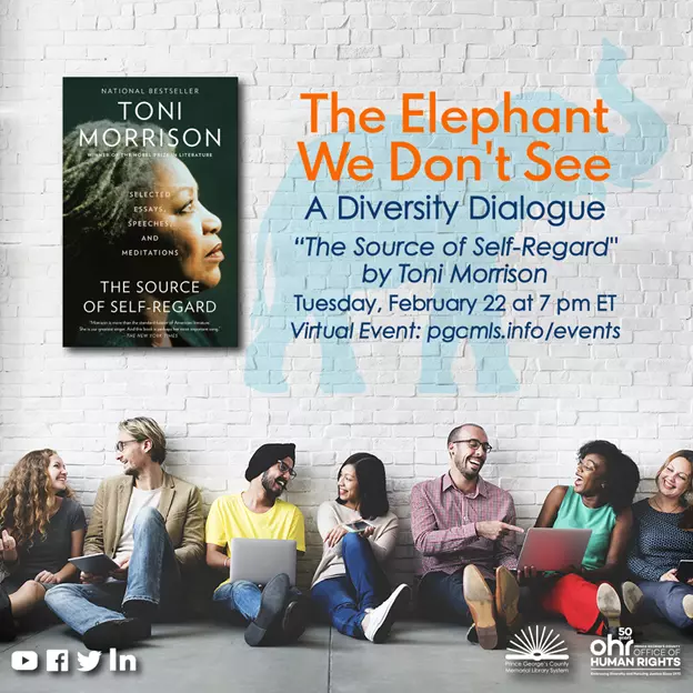 The Elephant We Don't See - The Source of Self-Regard