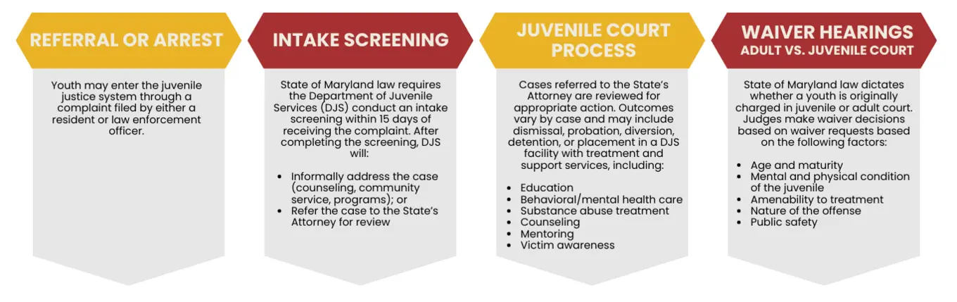 Understanding Juvenile