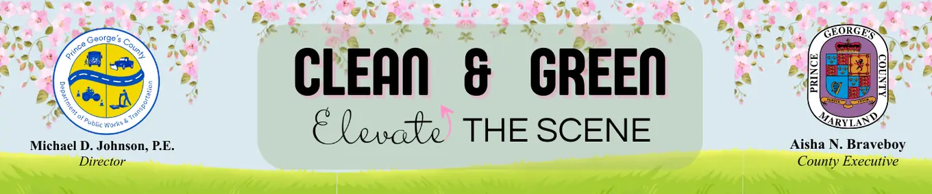 Clean & Green: Elevate the Scene Spring