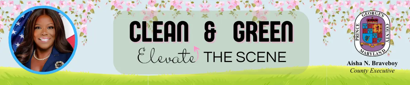 Clean & Green: Elevate the Scene Spring Image 2