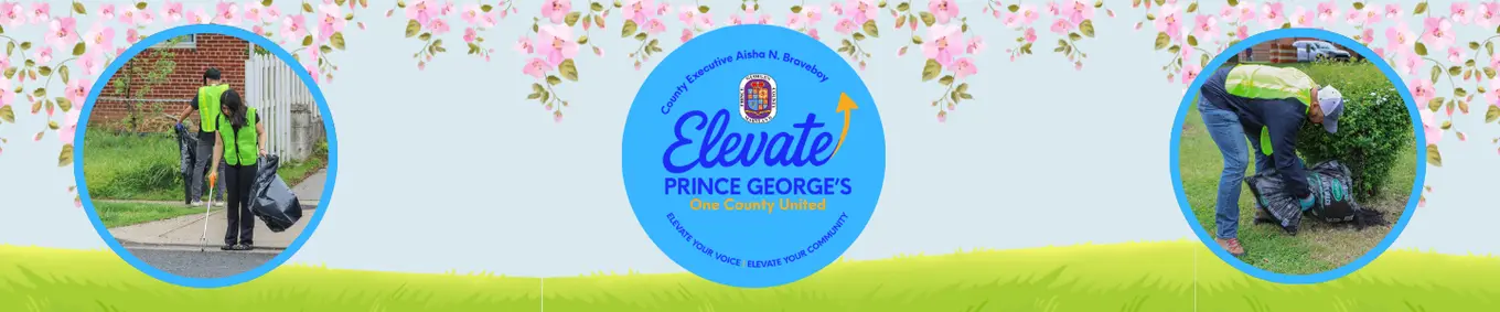 Clean & Green: Elevate the Scene Spring Image 3