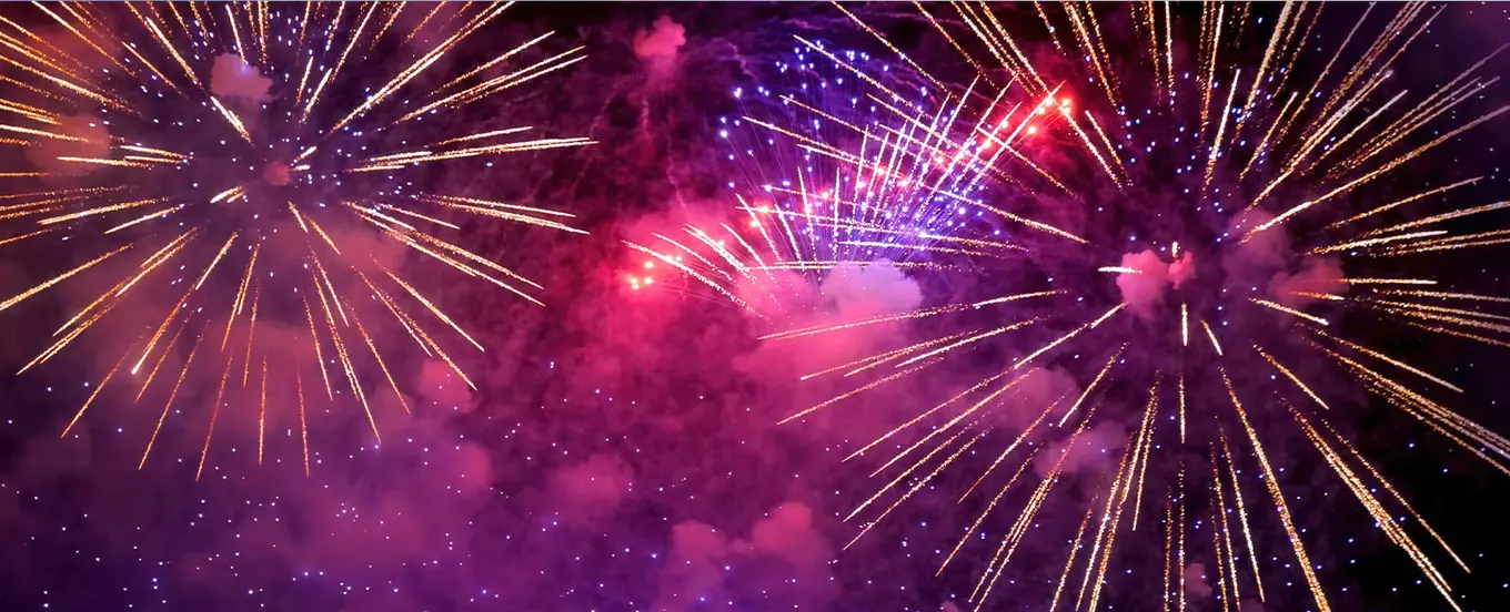 fireworks in the night sky