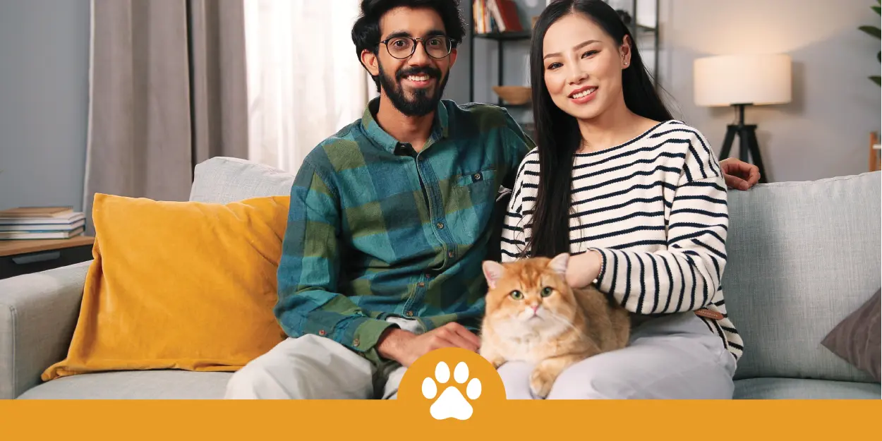 ASD fostering-graphic