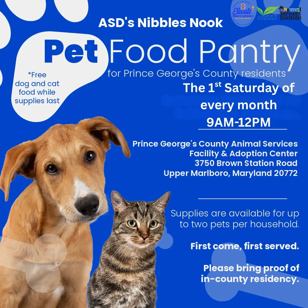 ASD Nibbles nook flyer
