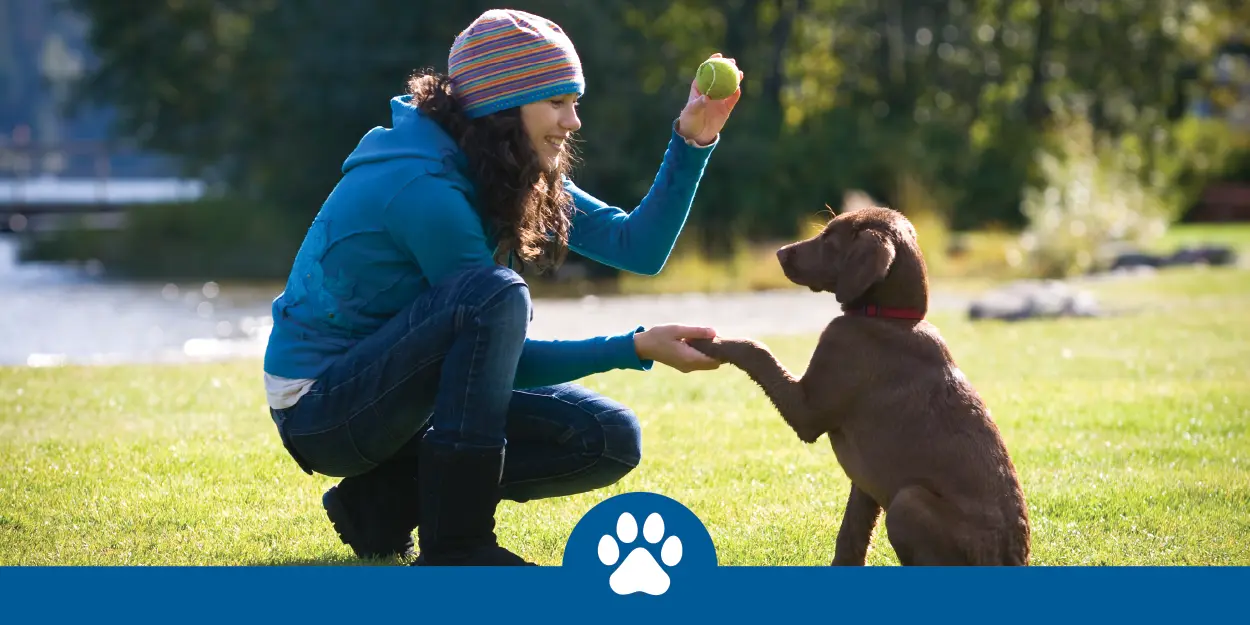 ASD pettraining-graphic