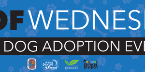Woof Wednesdays Big Dog Adoption Event