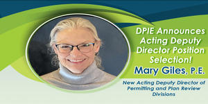 Photo of Mary Giles, new Acting Deputy Director, DPIE with green and blue swirls