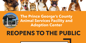 ASD Shelter-reopen 1.18.24