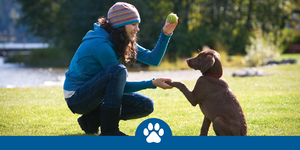 ASD pettraining-graphic