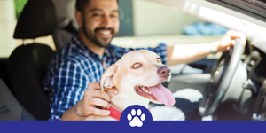 ASD vaccineclinic-graphic