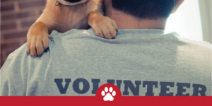 ASD volunteer-graphic