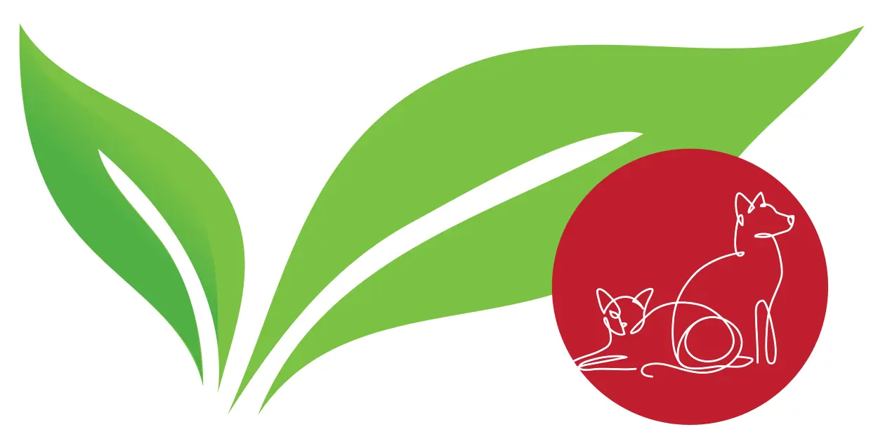 Graphic illustrating Animal Services Division Program 