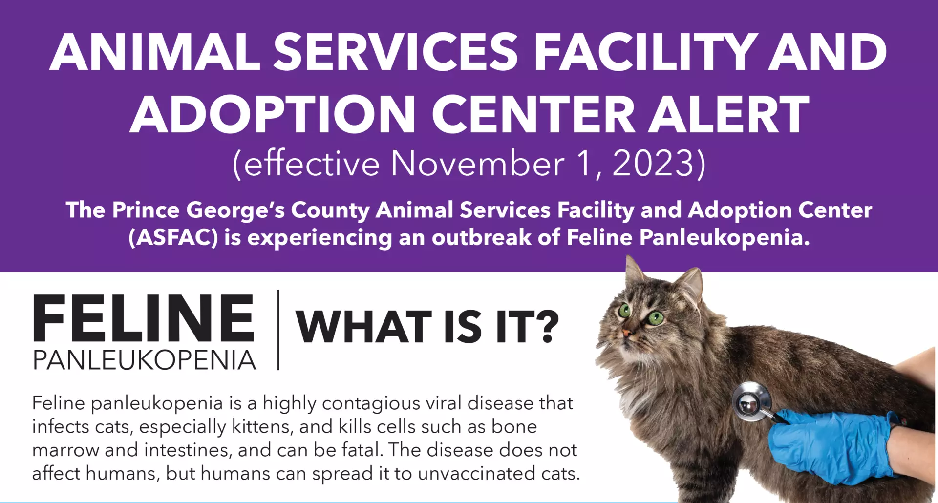 ASD Feline-panleukopenia Fact Sheet banner