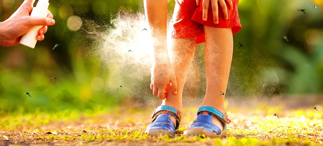 A child in red shorts being attacked by mosquitoes as his mother sprays bug repellent on his calves.